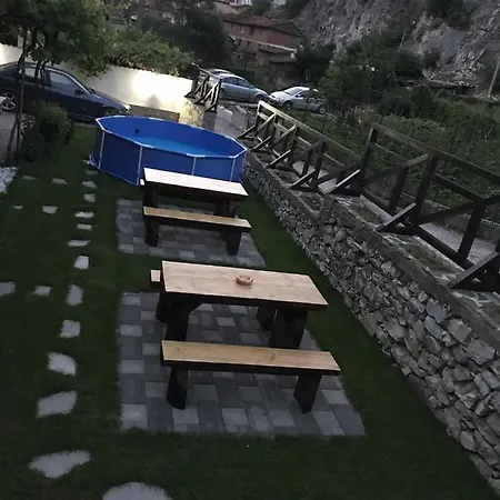 Viktoria Paradise