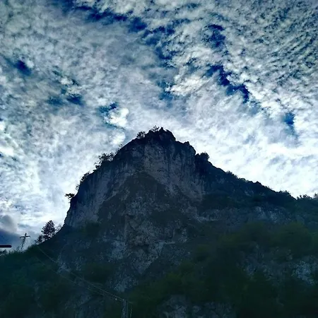 Viktoria Paradise