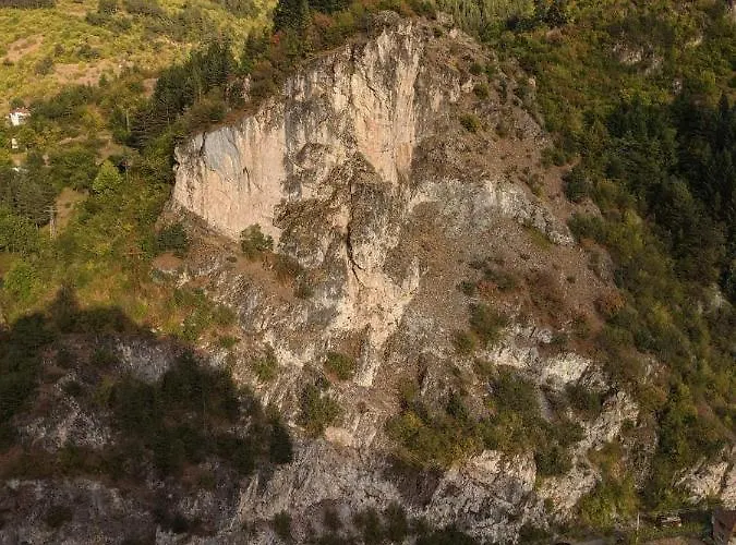 Viktoria Paradise Guest house