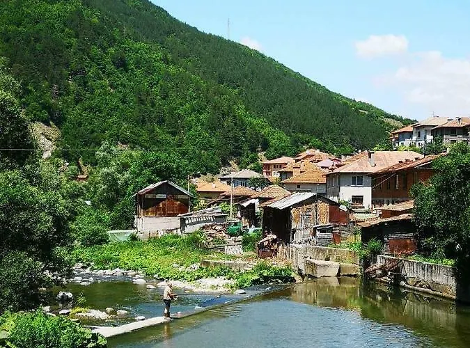 Viktoria Paradise Devin